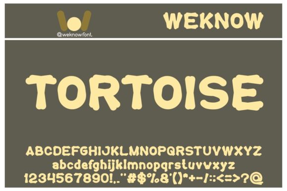 Tortoise: The Bold Display Font for Modern Design